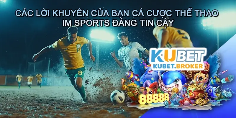Các Lời Khuyên Của Bạn Cá Cược Thể Thao IM Sports Đáng Tin Cậy