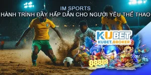 IM Sports - Hành Trình Đầy Hấp Dẫn Cho Người Yêu Thể Thao