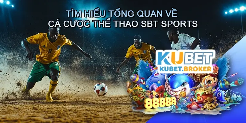 Tìm Hiểu Tổng Quan Về Cá Cược Thể Thao SBT Sports